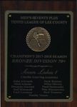 Men 70s Bronze 2017-18 Championship